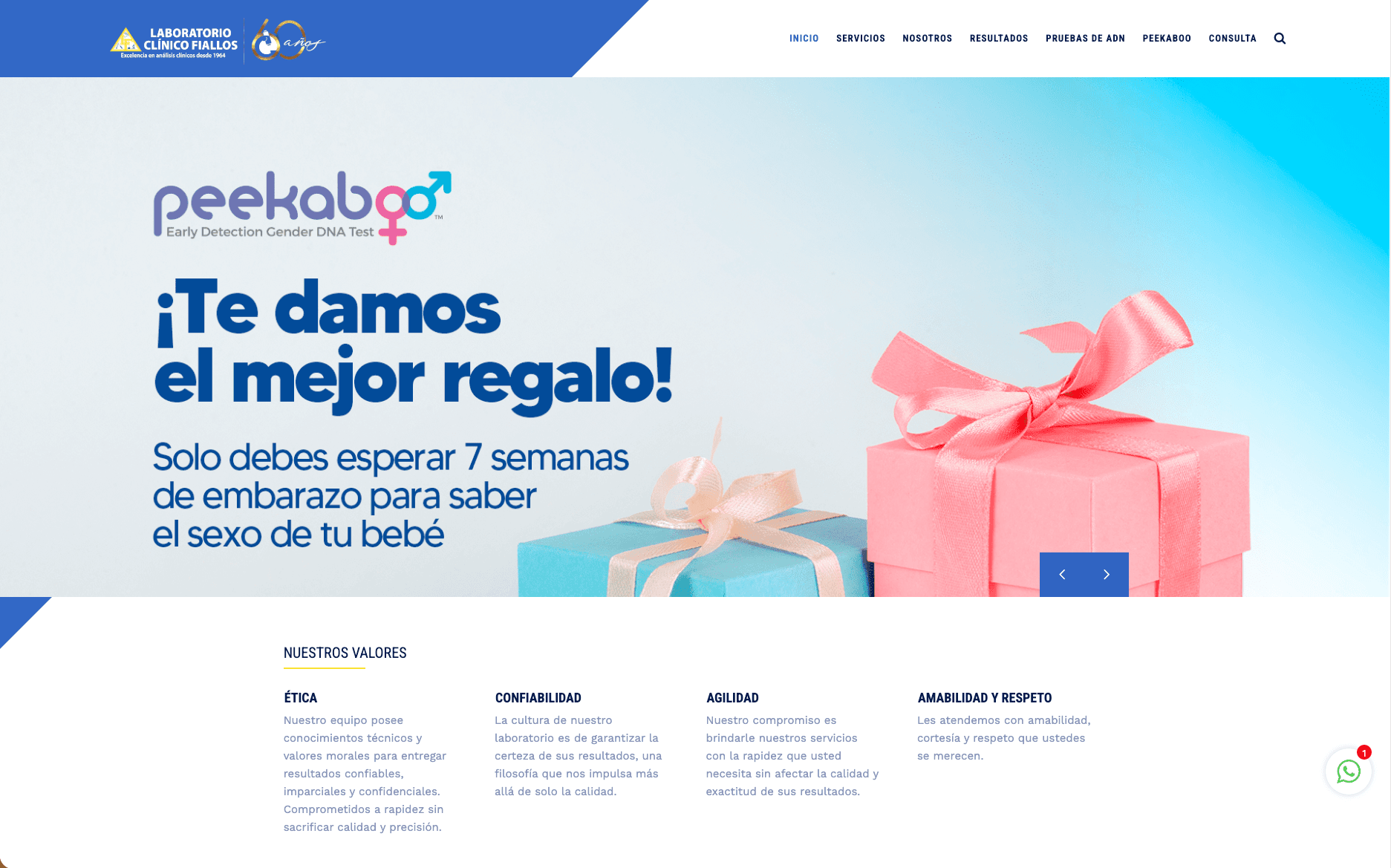 Laboratorio Fiallos 1
